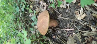 Прикрепленное изображение: IMG_20230612_093825.jpg